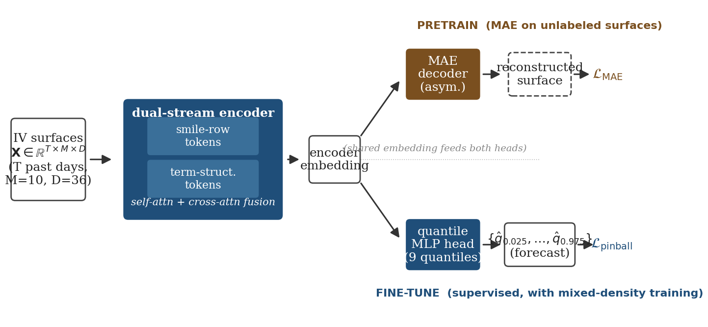 TempoSurfViT architecture: IV surface stack feeds a dual-stream encoder (smile-row tokens, term-structure tokens, with per-stream self-attention plus cross-attention fusion) producing a shared embedding. The embedding branches to two heads: an asymmetric MAE decoder for the pretraining phase (reconstruction loss) and a 9-quantile MLP head for the fine-tuning phase (pinball loss producing a 9-quantile forward-RV forecast).